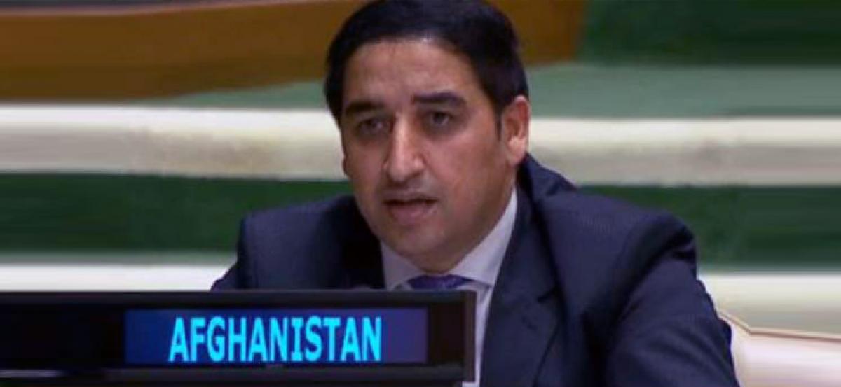 Afghanistan lambasts Pak over long history of providing safe havens to global terrorists