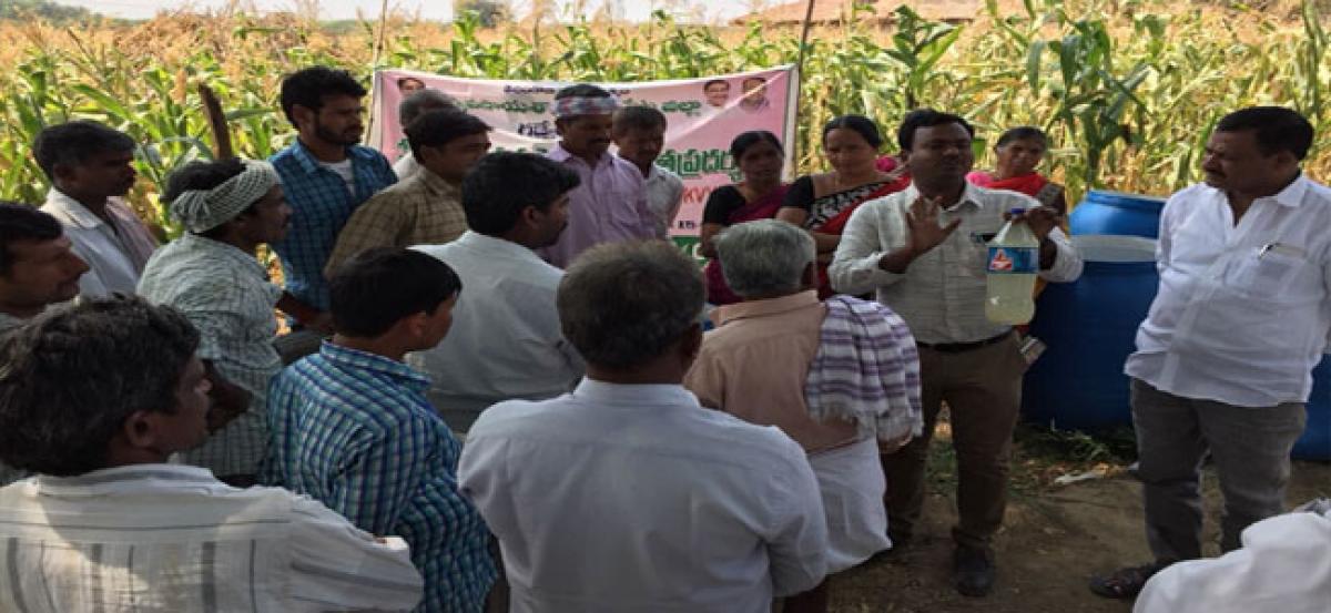 Field demonstration on organic farming held