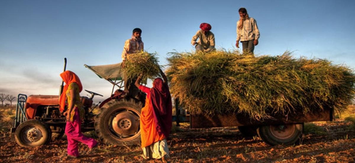 Agriculture credit target for FY19 up 10 per cent to Rs 11 lakh crore