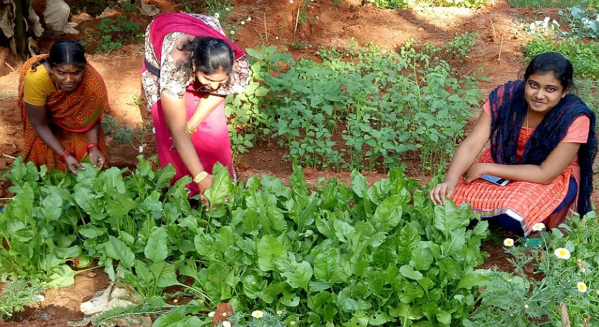 A technocrat with heart of a farmer!