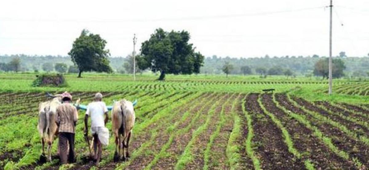 No separate budget for Agriculture: Telangana government