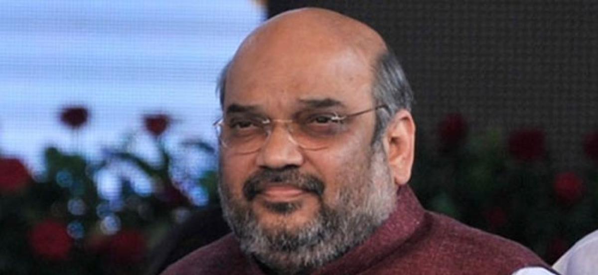 Congress rally to mourn one familys loss of power: Amit Shah