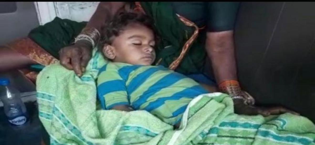 Three-year-old boy trampled to death by cattle in Sircilla