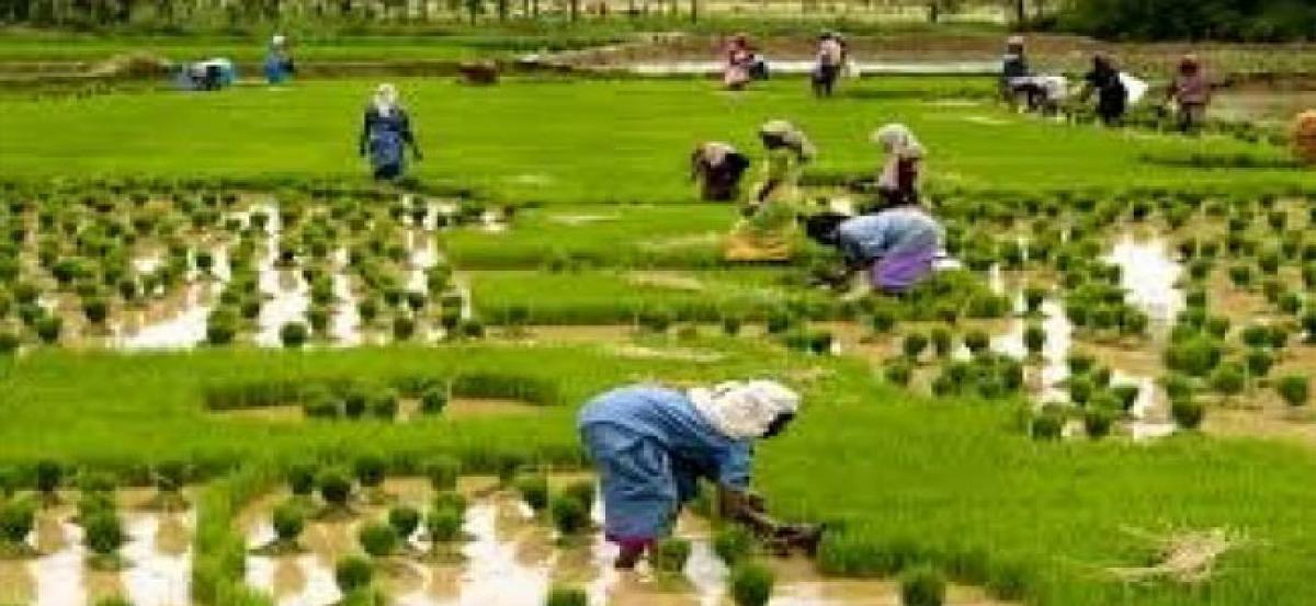 Farmers all set to reap benefits from APRIGP