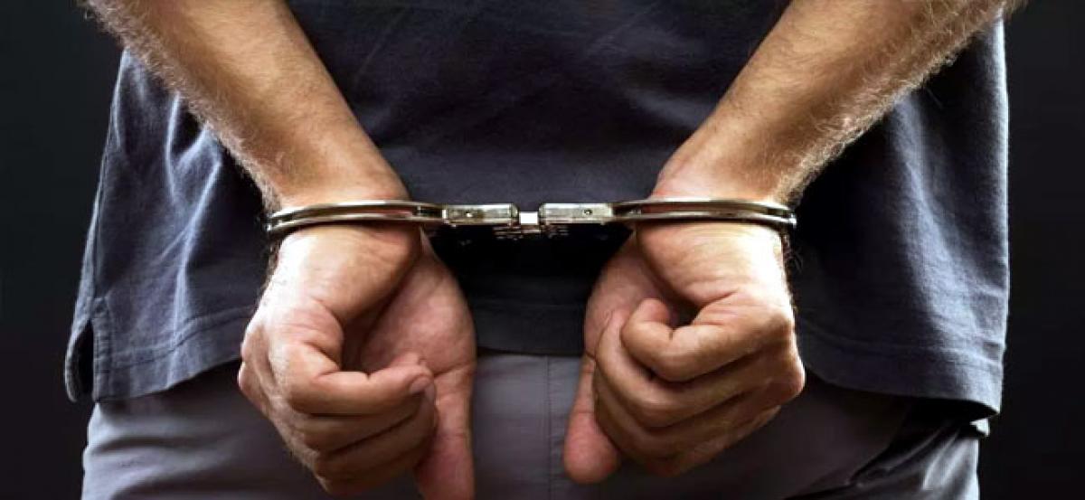 8 arrested with stolen vehicles, firearms in separate incidents in Greater Noida