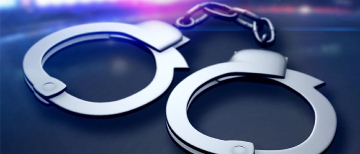 Police arrests 28-year-old maid on the charges of theft.