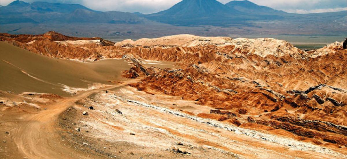 Atacama desert life raises hope of life on Planet Mars