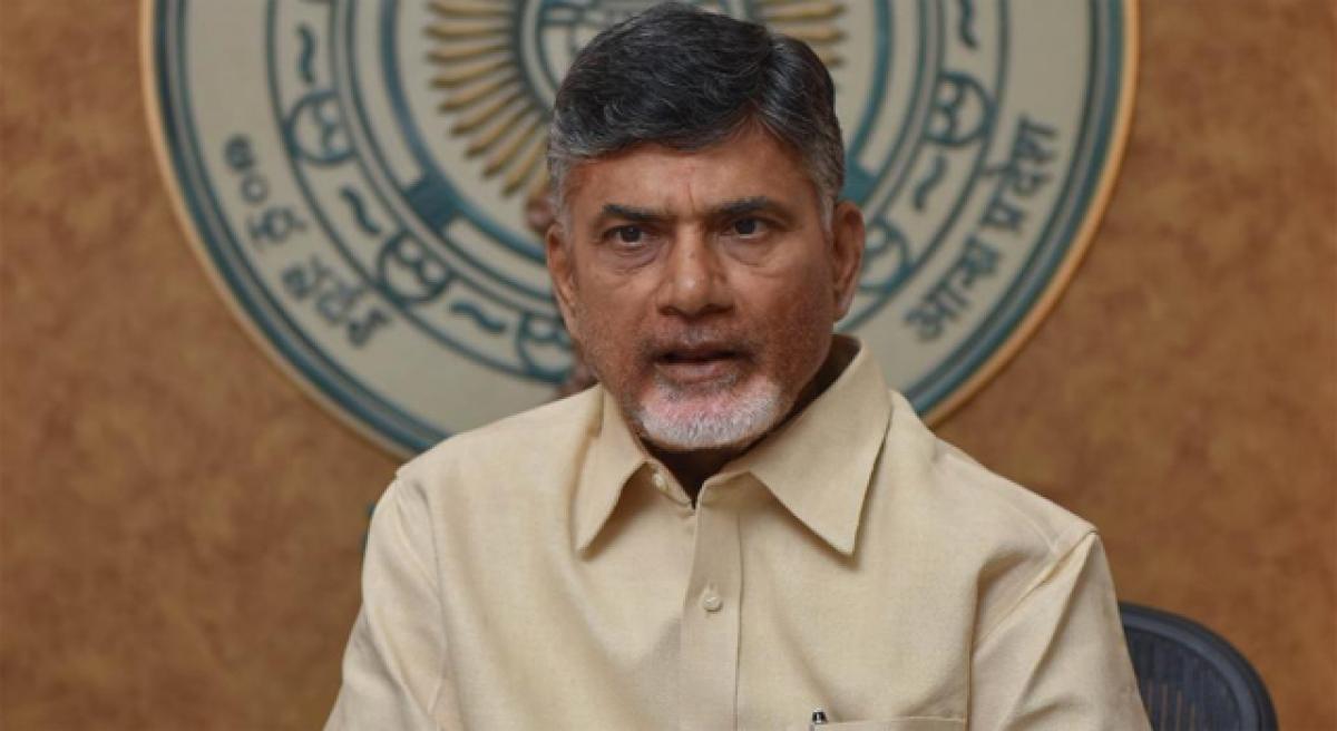 Chandrababu Naidu urges NRIs to strive for TDP win