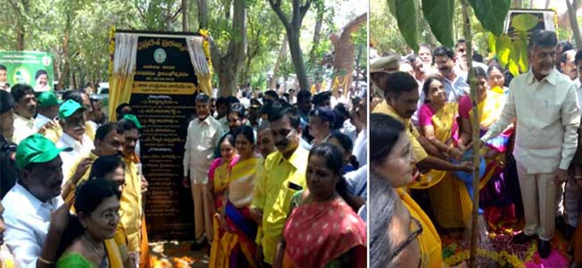 CM inagurates Nagaravanam in Tirupati, participates in rally
