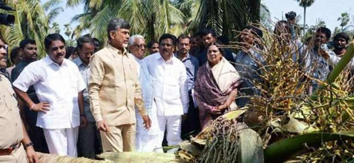 Chandrababu Orders Enumeration Of Crop Loss