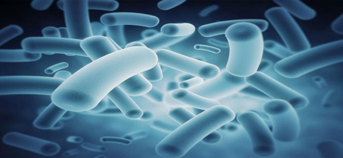 Can bacteria species go extinct? Yes, they do!