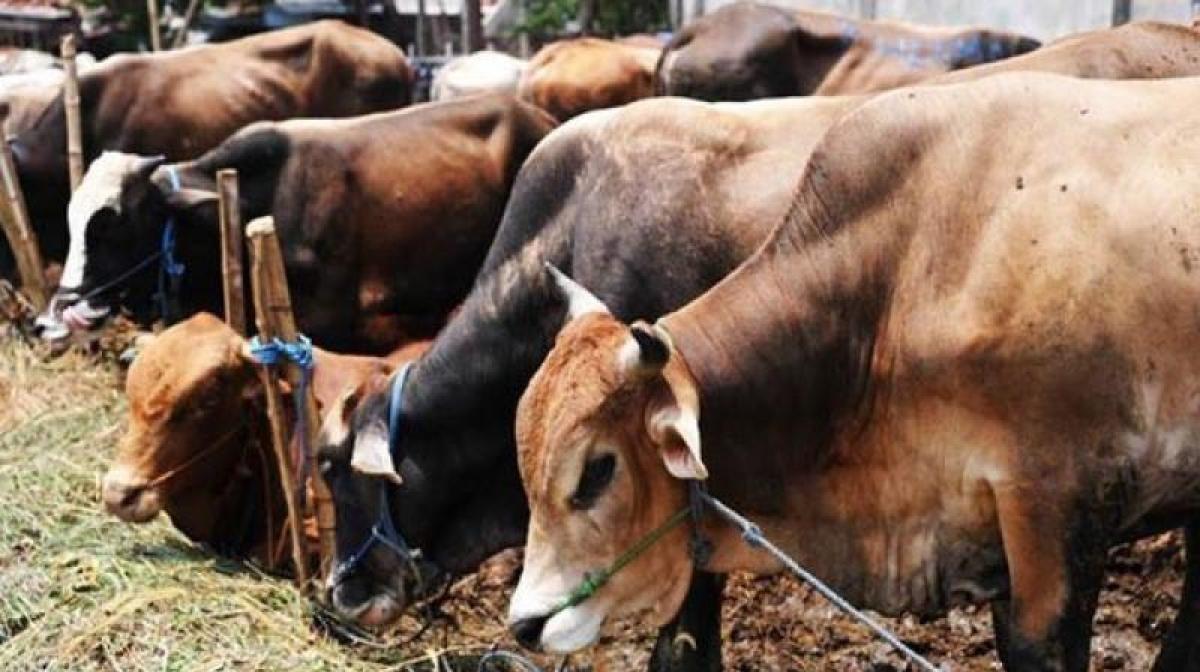 BJP leader arrested for lynching man in JKhand on suspicion of carrying beef