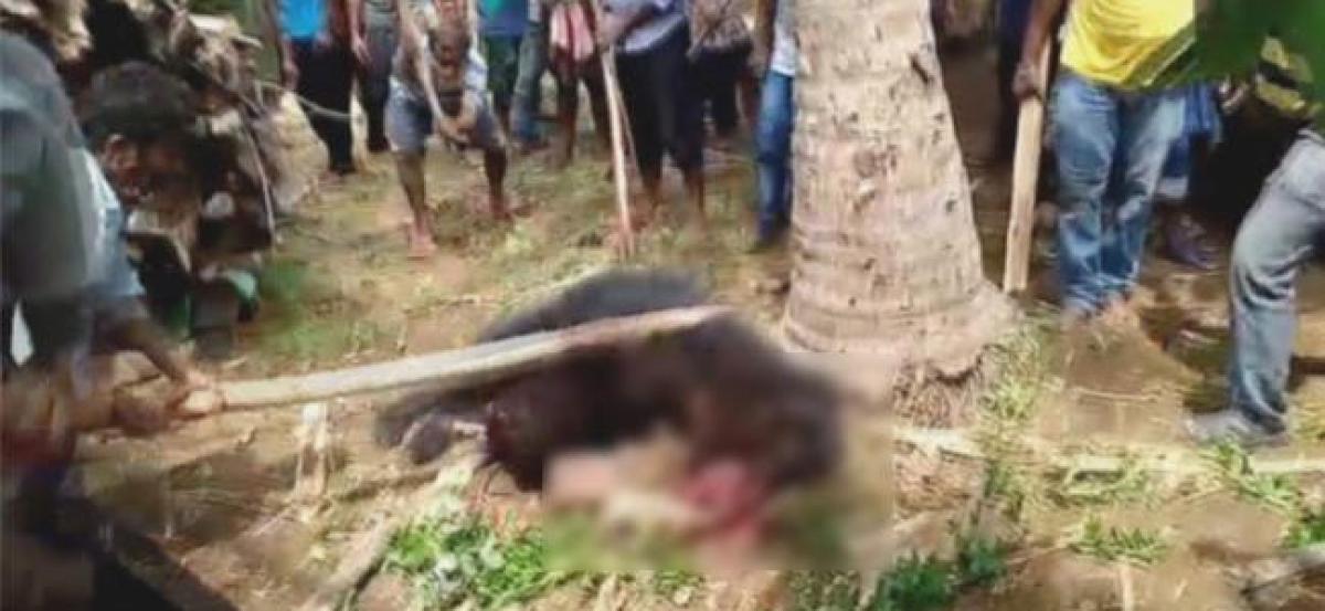 Woman killed, seven others injured in a bear attack in Srikakulam