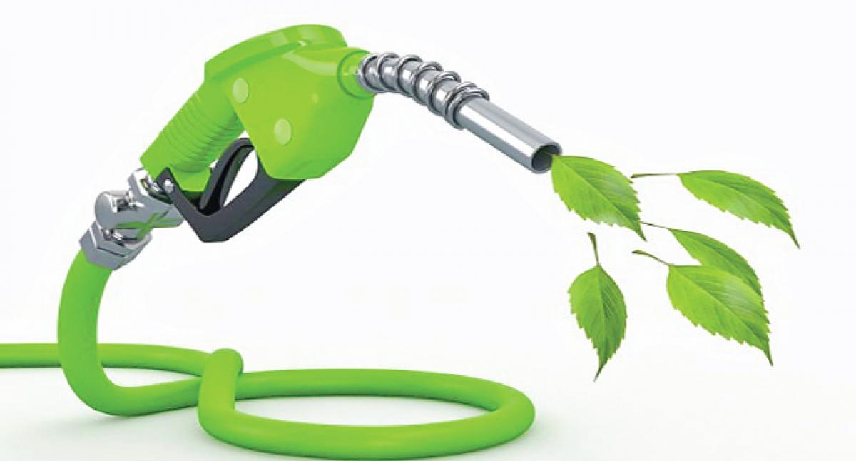 The pitfalls of biofuel
