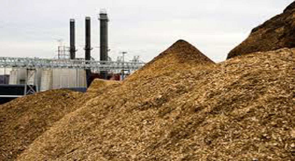 Biomass power generation takes backseat in East Godavari