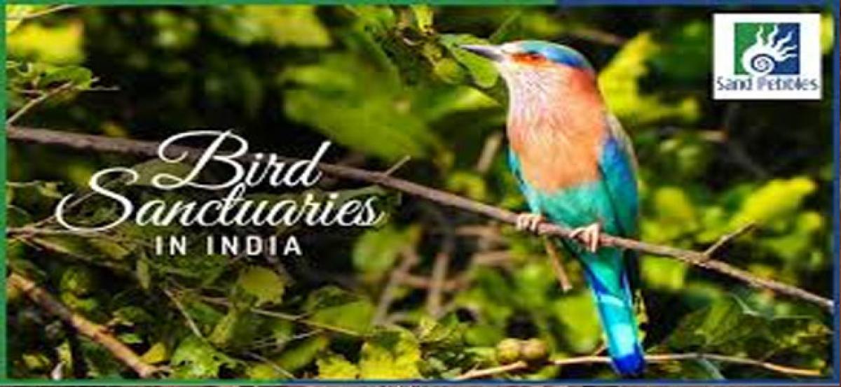Top ten famous Bird Sanctuaries of India