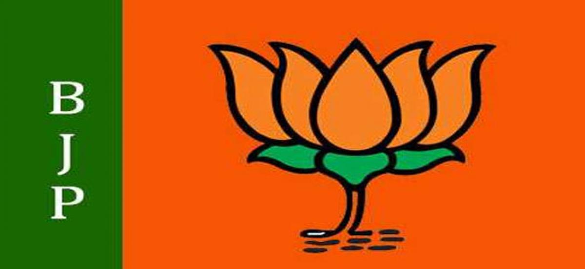 BJP to focus on strengthening party in Andhra Pradesh
