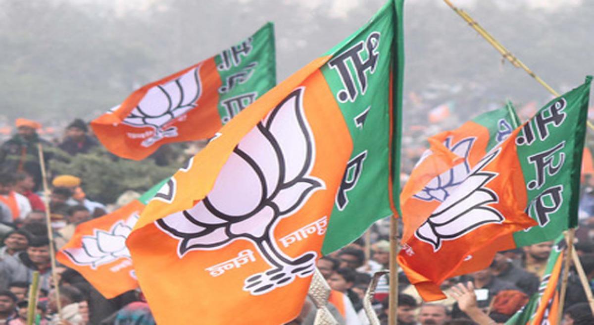 BJP plans to raise Seema, Uttarandhra issues