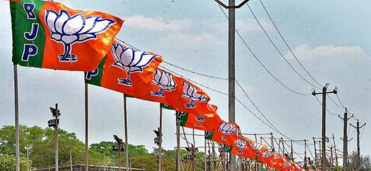 Netizens of AP launch massive Facebook campaign against BJP