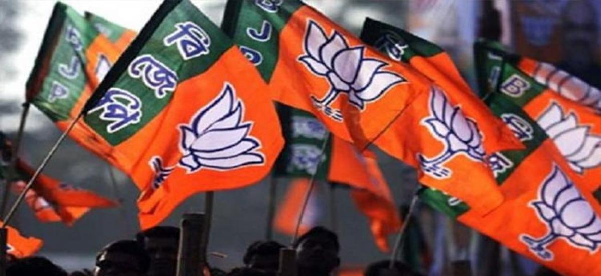 BJP to celebrate Vijay Diwas after polls victory