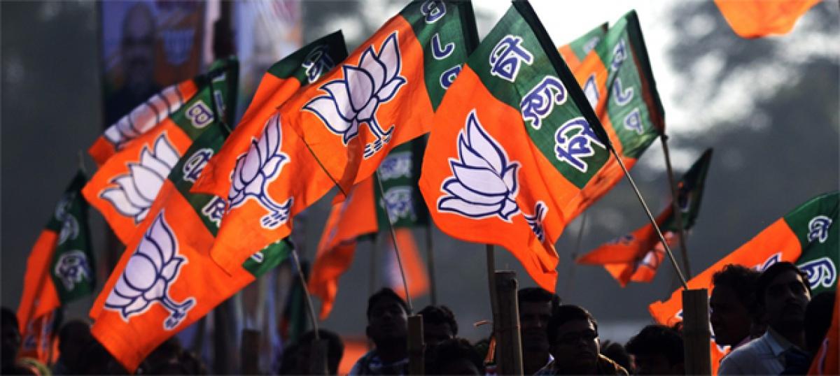Development of AP possible only with NDA govt: BJP
