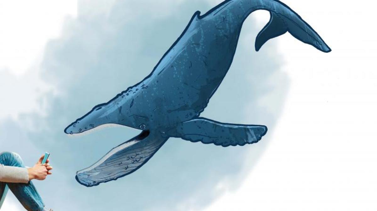 Odisha student rescued from shackles of Blue Whale game