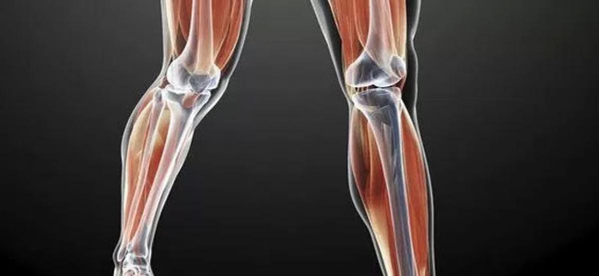 Decoded: What causes bone loss