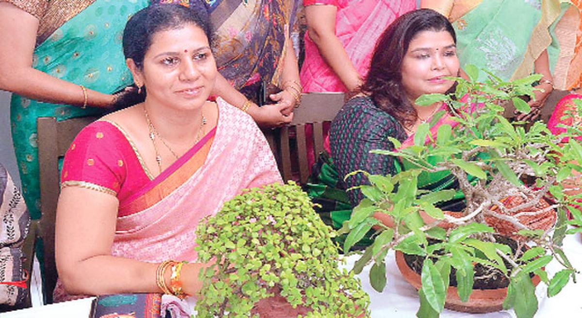 Bonsai gardening making inroads