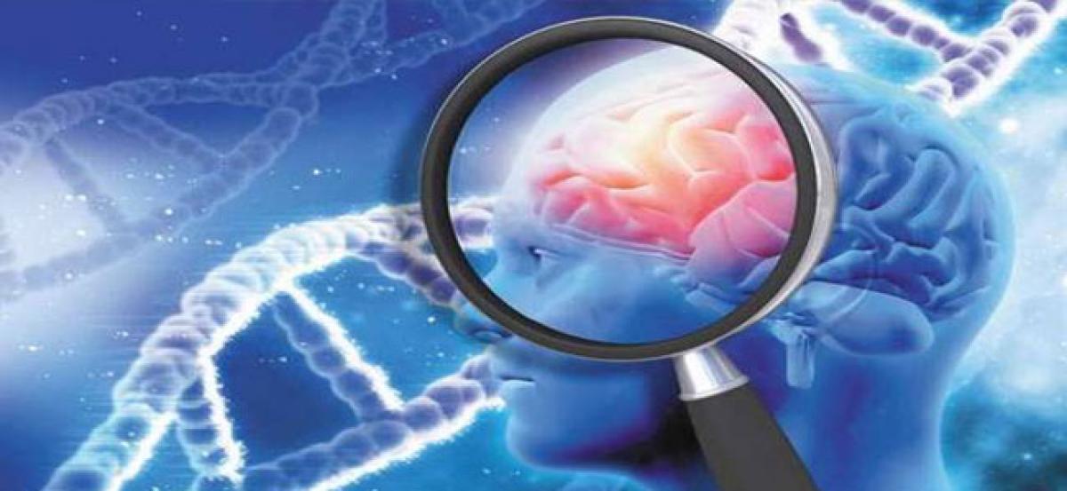 Brain cholesterol may increase Alzheimers disease risk