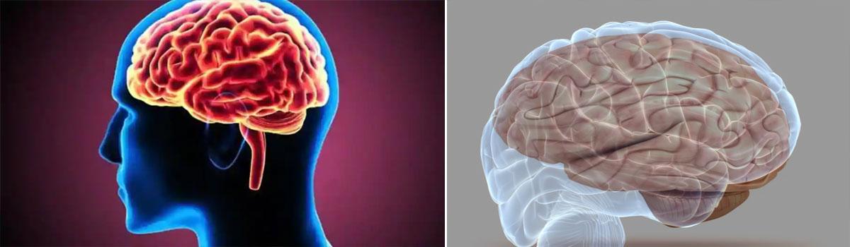 Human brain responds to aggressive voices quicker: Study