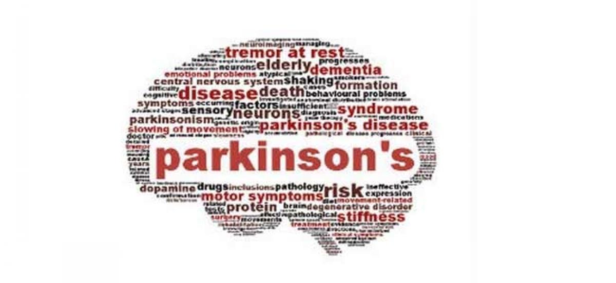 New brain network linked to pain in Parkinsons disease