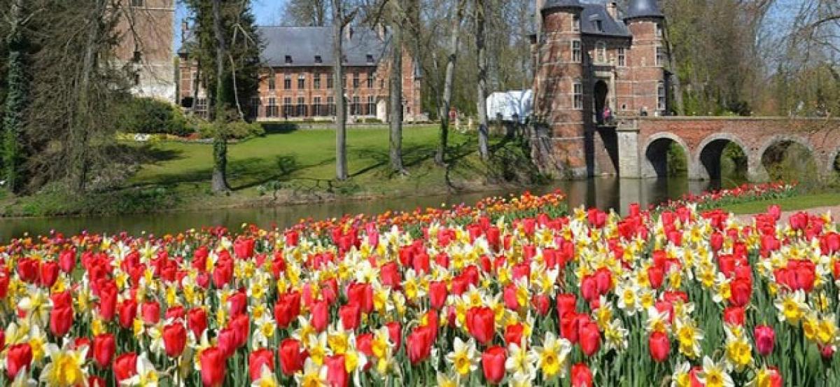 When in Brussels, dont miss to celebrate the beauty of Spring!