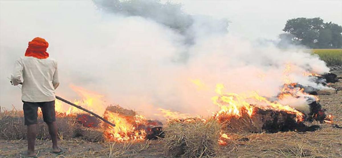 Crop burning: NGT slaps Rs 2 lakh as costs on Delhi government