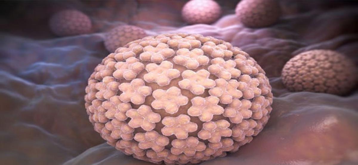 New skin cell culture technique developed to study HPV