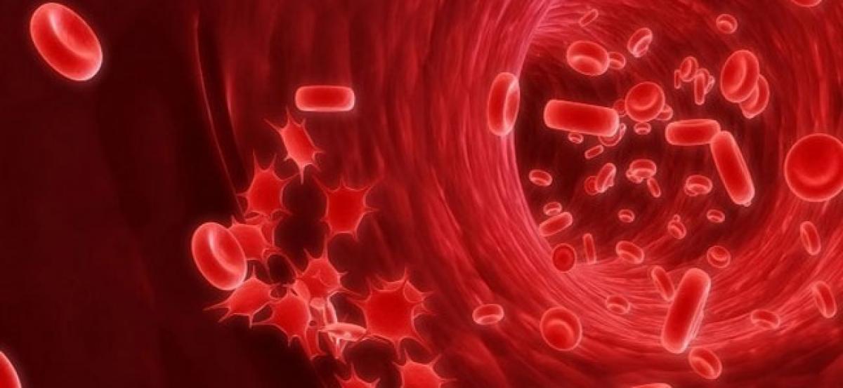 Scientists identify new possibility for untreatable blood cancer