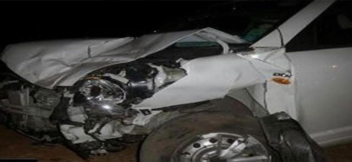 TDP leader killed in car mishap