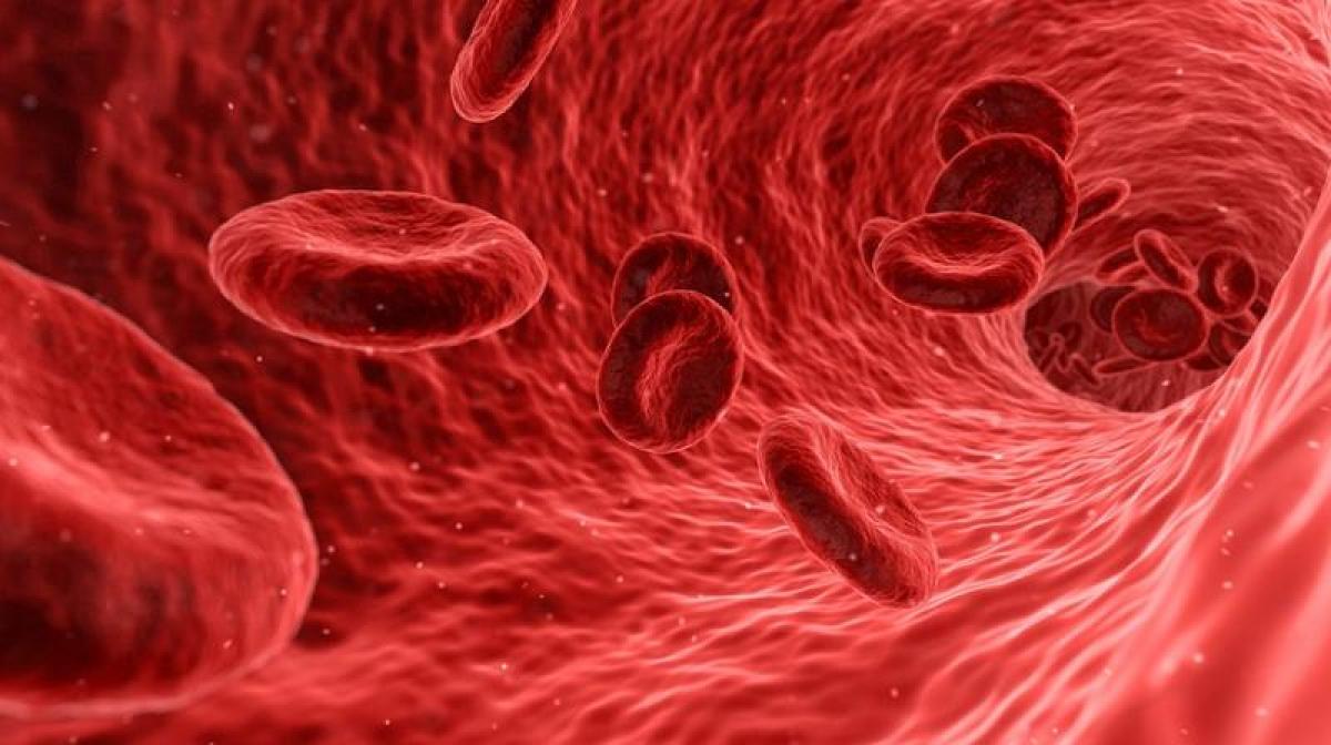 New power generator can convert energy from flowing blood into electricity