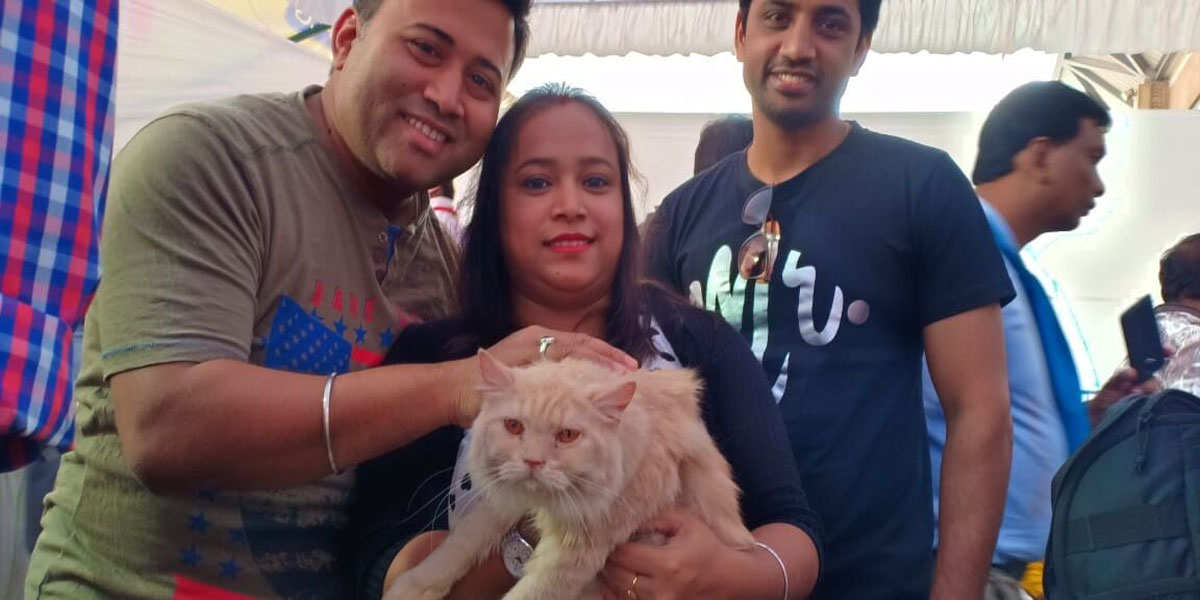 Furry felines day out in Hyderabad