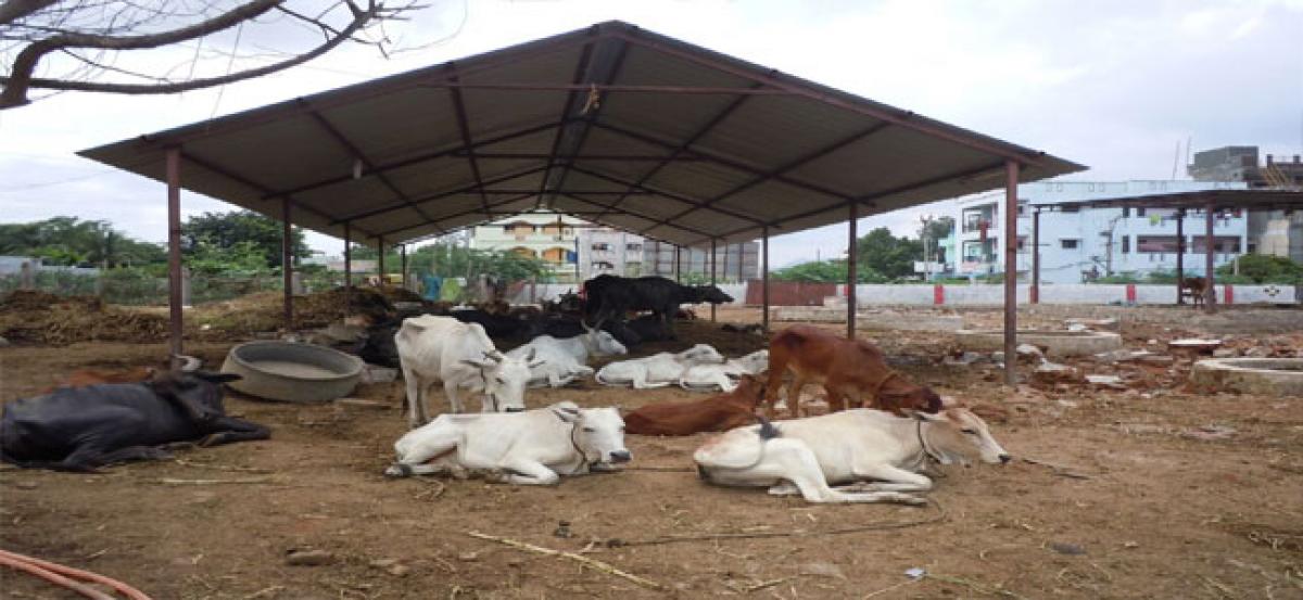 Farmers in fix with pvt dairies dictating terms