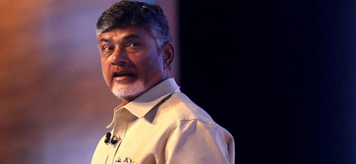 British Publisher Releases Book On Chandrababu