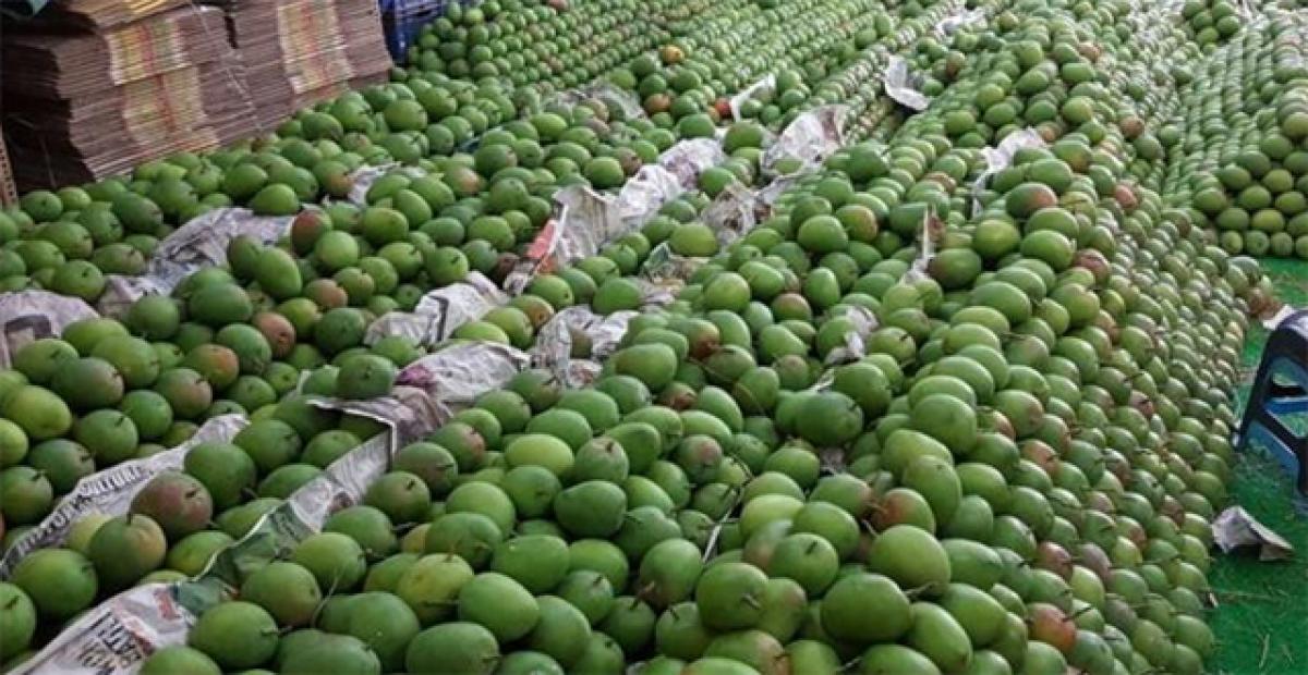 Fruit-ripening chemicals seized