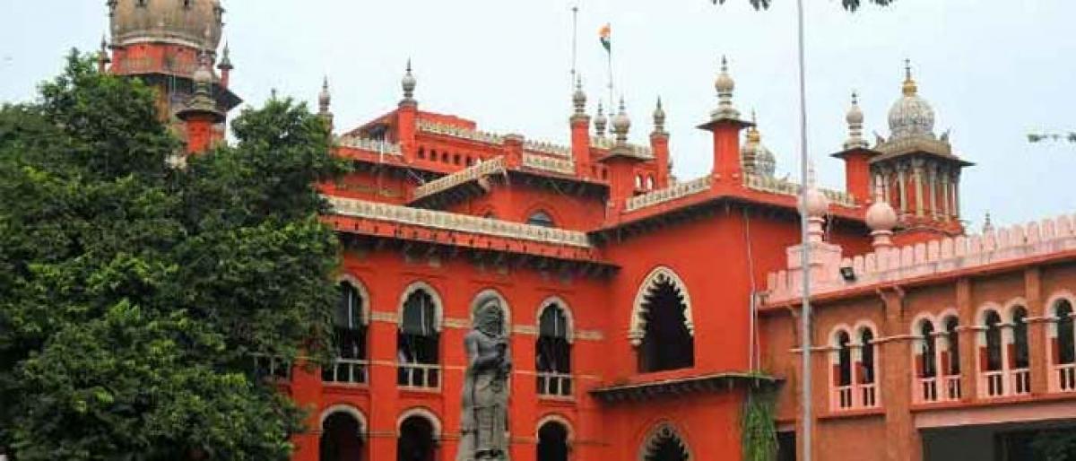 Woman appeals to Madras HC alleging land grab by TN minister