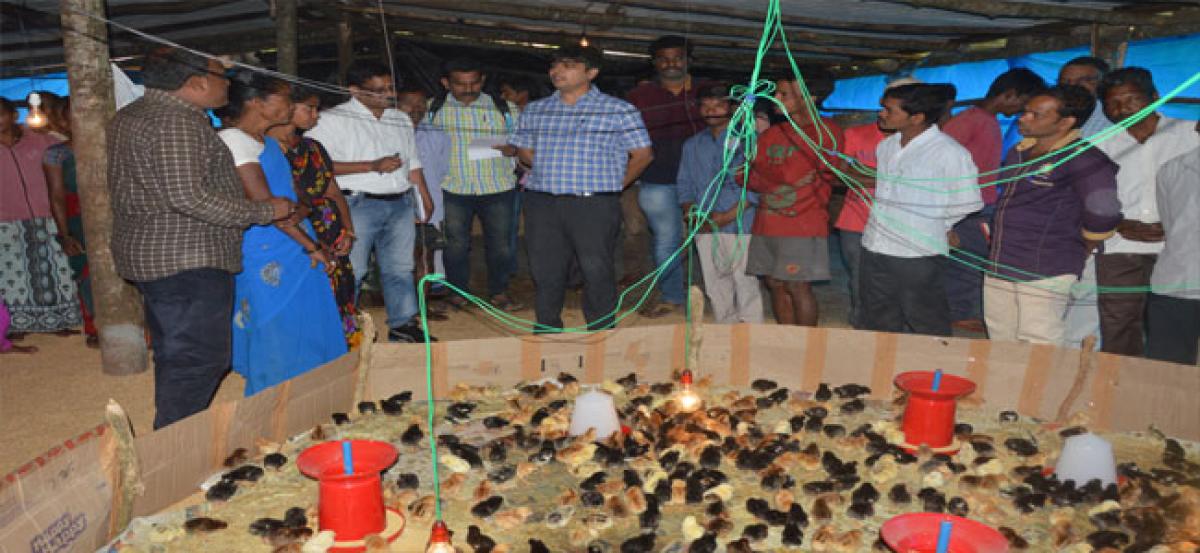 TDA launches ‘Mother Poultry’ to empower tribal women