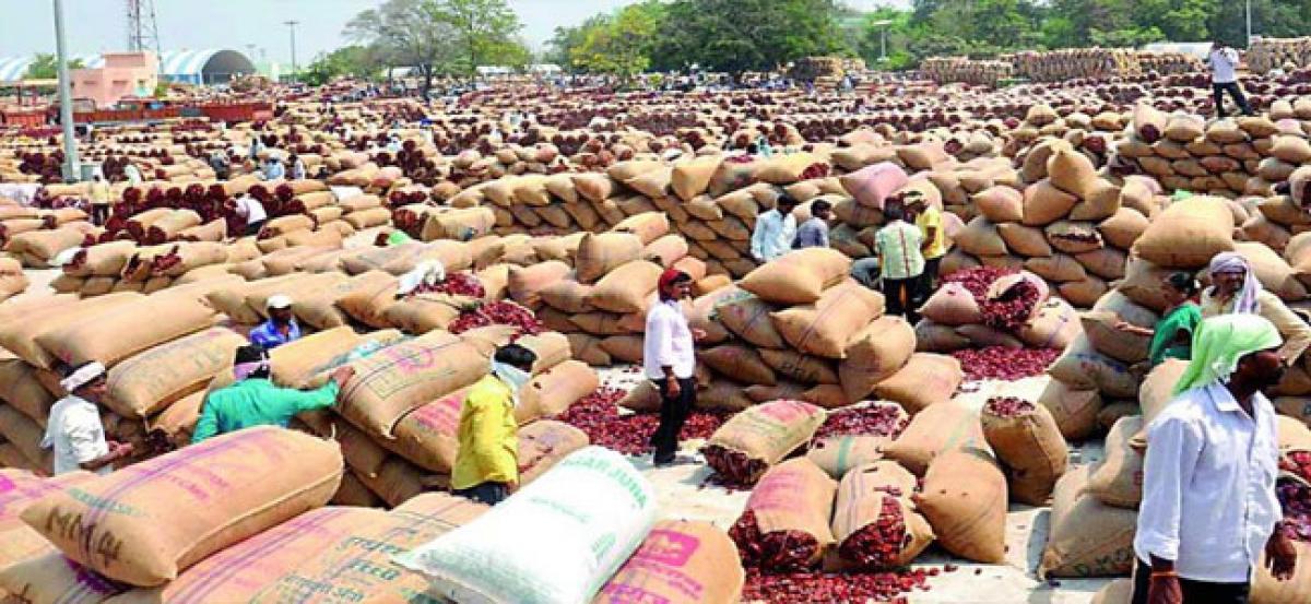 Chilli yard e-trade bandh leaves growers in tears