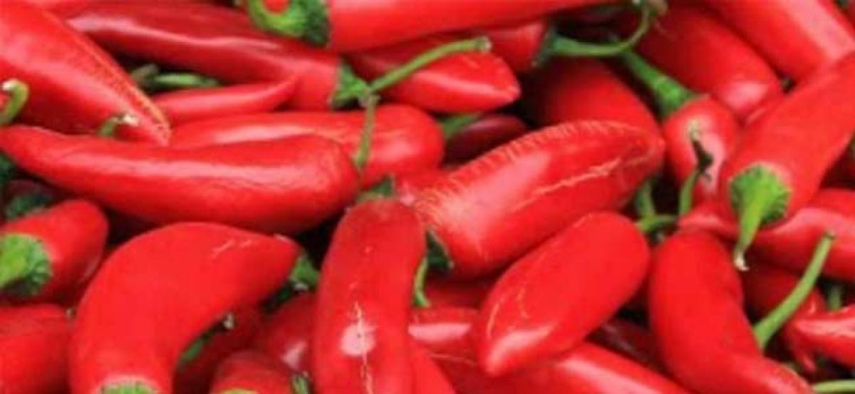 Worlds hottest chili pepper gives US man severe thunderclap headaches