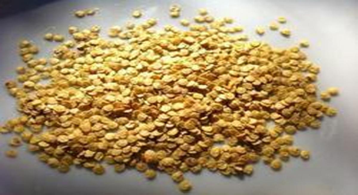 Chilli seeds worth 63 lakh seized