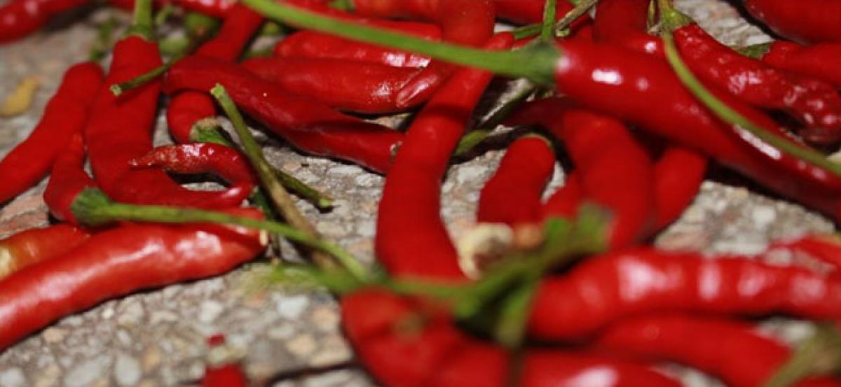 Weight loss drug made of chili pepper is good for a spicy burn, but don’t eat more chili