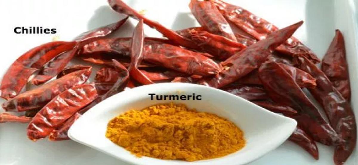 Huge stocks of chillies, turmeric, Bengal gram gutted at Boppudi cold storage