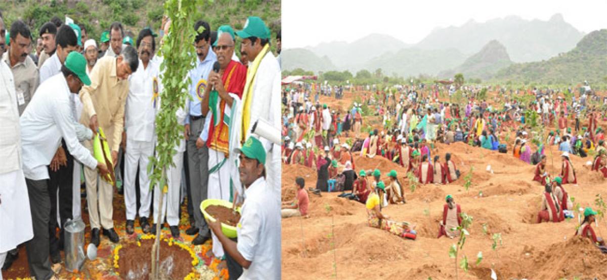 Chandrababu Naidu launches Vana Mahotsavam