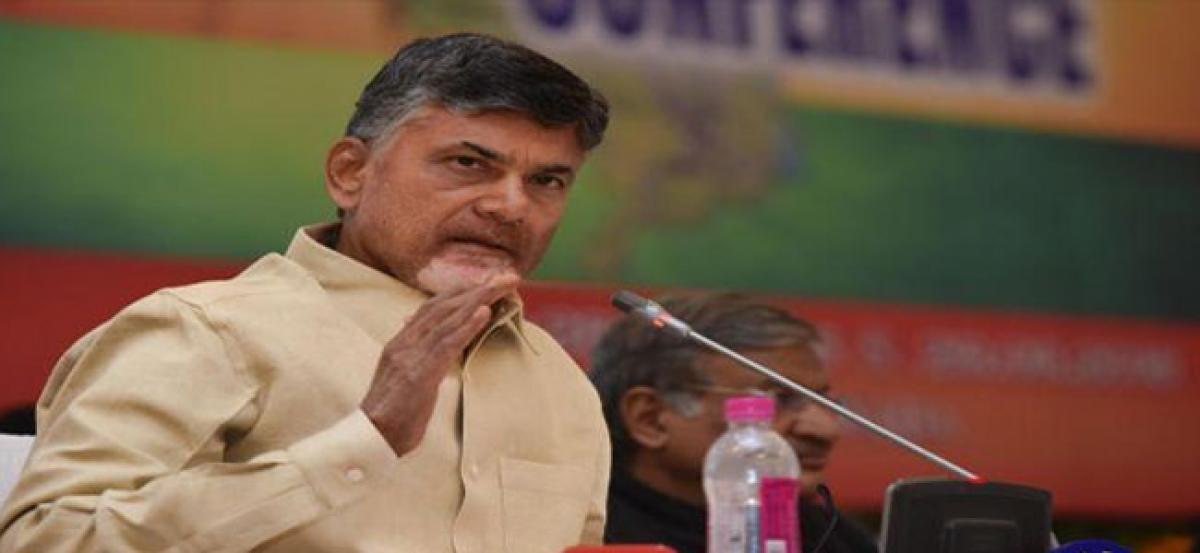 Ensure 25% agriculture growth this year: Chief Minister N Chandrababu Naidu